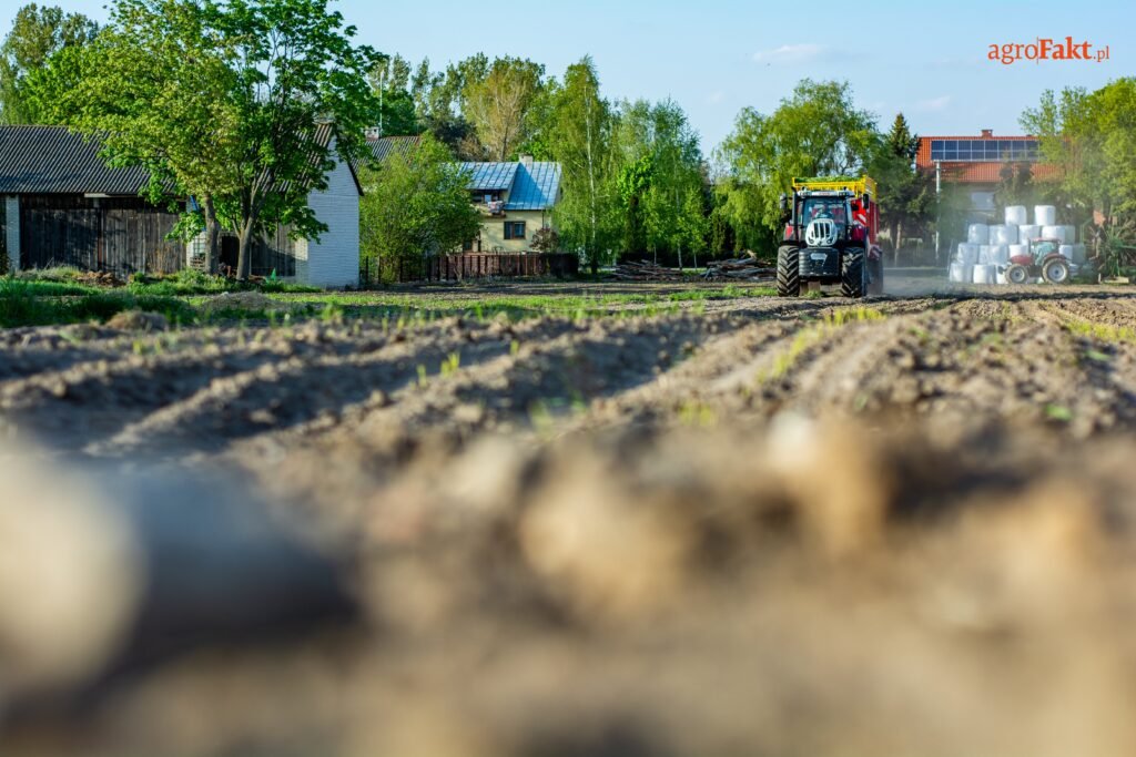 Aktualności rolnicze-Koniunktura w rolnictwie 2021