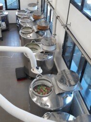 tworzenie stada od zera