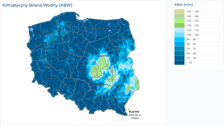 zwalczanie chwastów w rzepaku jesienią