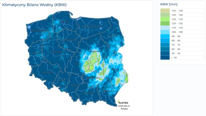zwalczanie chwastów w rzepaku jesienią