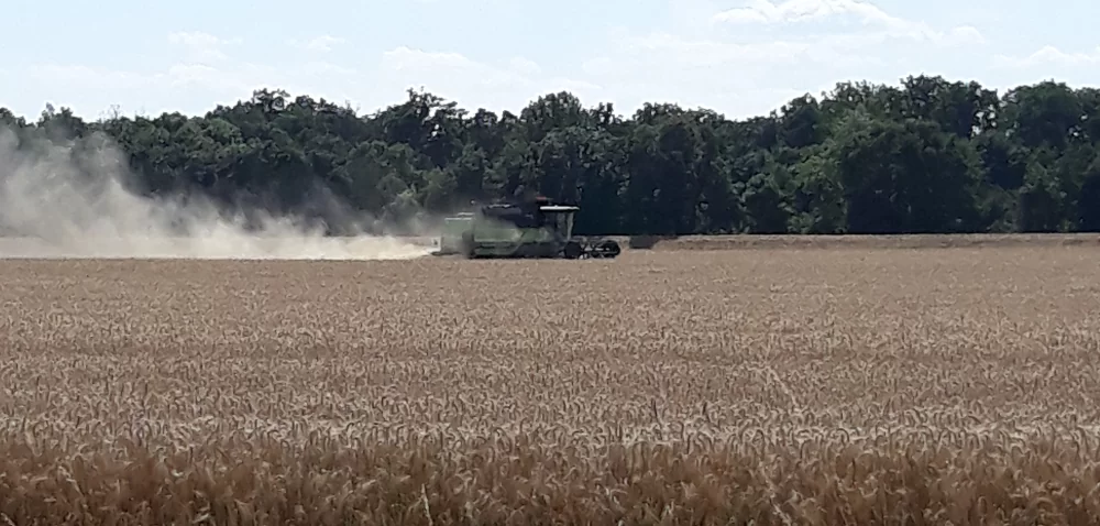 Ceny wysokie a podaż mała