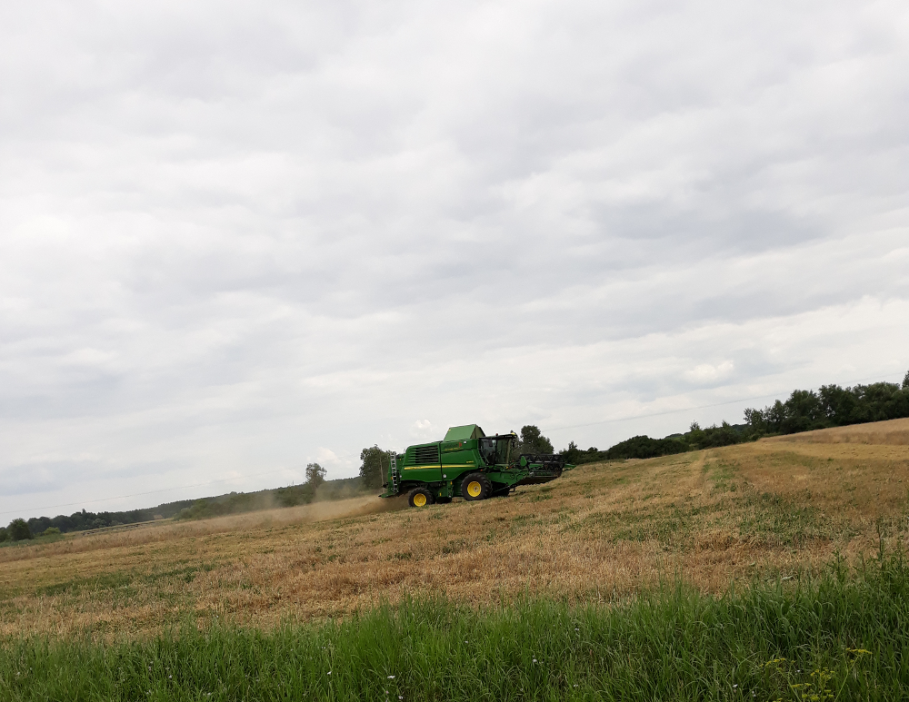Dopłaty bezpośrednie dla rolników 2021 – czy warto czekać?