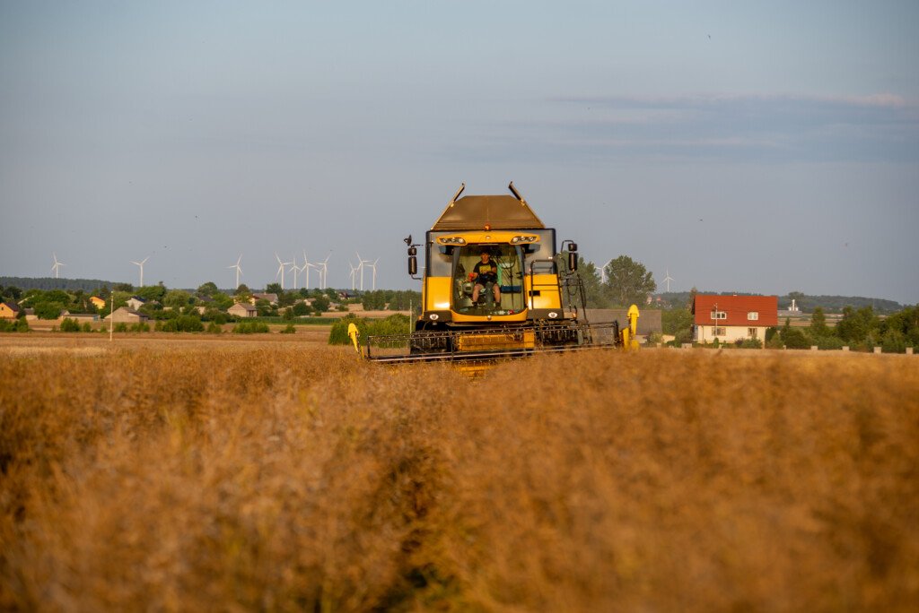 Aktualności rolnicze- Cena skupu rzepaku 2021