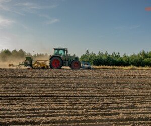 Agrofakt- Zaprawa do rzepaku