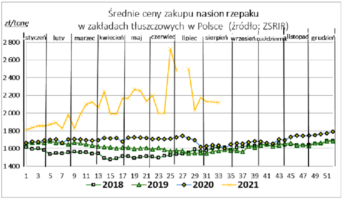 Wysokie ceny rzepaku
