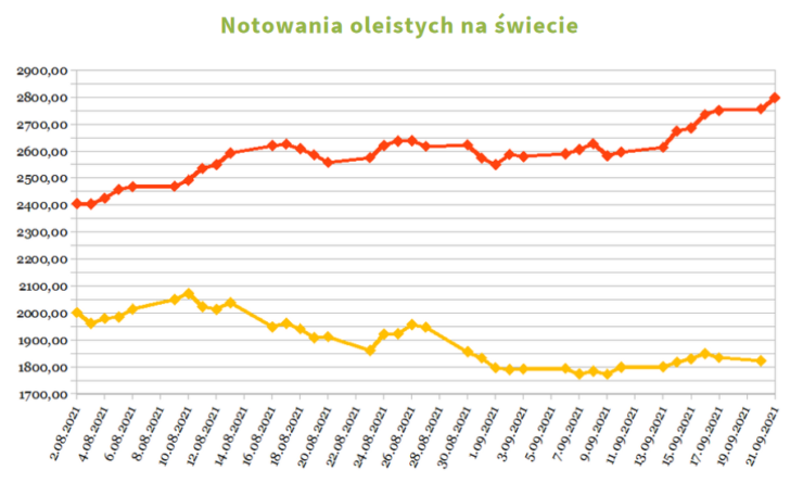 "Aktualności