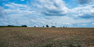 Czynsz dzierżawny KOWR w&nbsp;I&nbsp;półroczu 2021 r. Sprawdź ile wynosi!