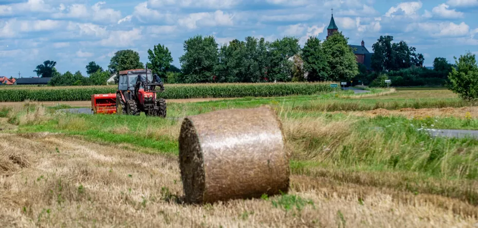 planowane zmiany w krus 2021