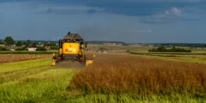 Aktualności rolnicze- Ceny rzepaku w umowach terminowych