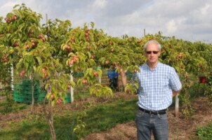 Piotr Latocha na plantacji przy odmianie Bingo