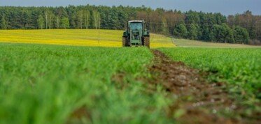ceny nawozów prognozy 