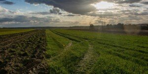 Czy powstanie nowy system ubezpieczeń upraw rolnych?