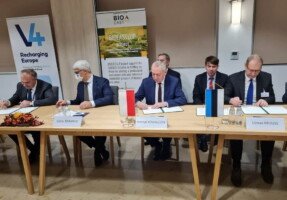 Ceny jabłek w&nbsp;Brukseli