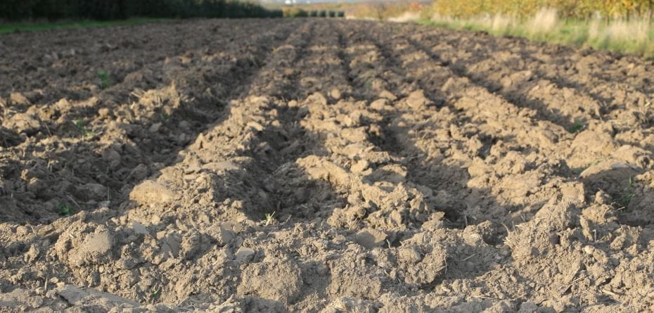 Podział gleb – kategorie agronomiczne gleb w rolnictwie i sadownictwie