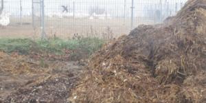 Nawożenie naturalne ratunkiem dla małych gospodarstw?