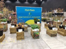 Silesia plants