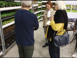 Silesia plants
