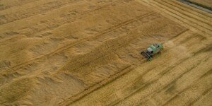 Rząd przyjął Plan Strategiczny dla WPR 2023-2027