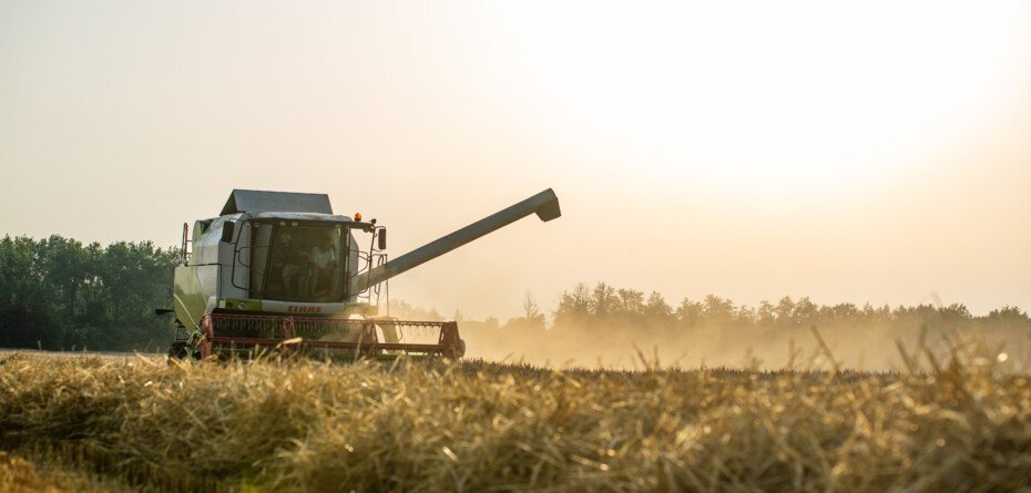 Ceny nawozów w górę. Produkcja zbóż w 2022 r. zagrożona?