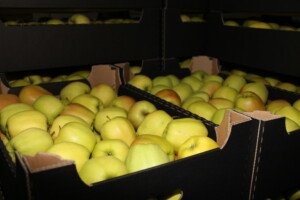 paszport dla żywności polskiej