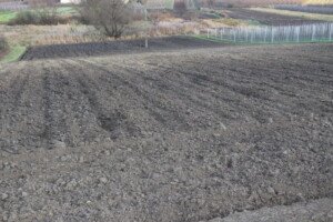 Potrzeby wapnowania gleb w&nbsp;Polsce