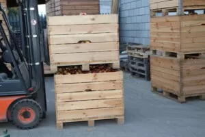 Przechowywanie owoców