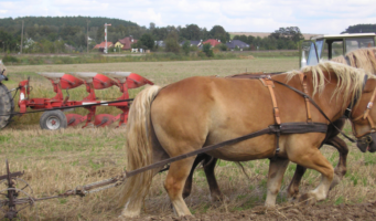  rolnictwo a&nbsp;zanieczyszczenie środowiska 