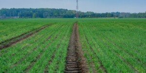 KRUS – wyrejestrowanie z&nbsp;ubezpieczenia. Kiedy i&nbsp;jak to zrobić?