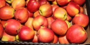 Wzrost cen jabłek – najnowsze dane i raporty