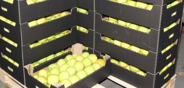 embargo na żywność