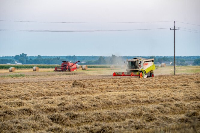 Aktualności rolnicze - Branża młynarska