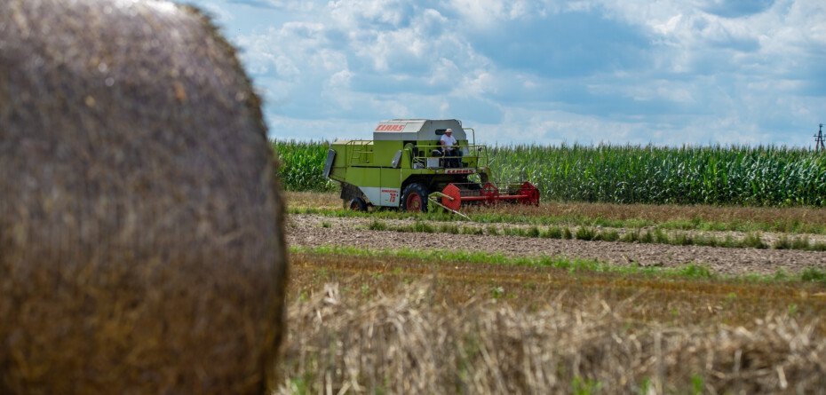 Europejski Zielony Ład w rolnictwie zmniejszy produkcję i dochody?