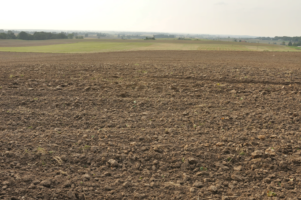 Produkty do żywienia roślin