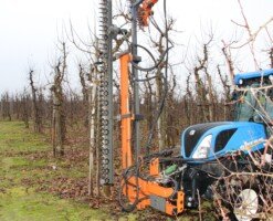 przycinanie drzew owocowych - jabłoń - cięcie mechaniczne - kosiarka - listwowa