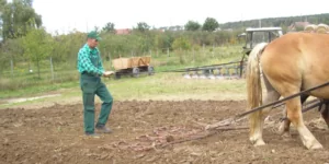 Uprawy ekologiczne