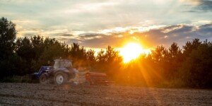 Dochód z&nbsp;dzierżawy gruntów rolnych – czy jest zwolniony z&nbsp;podatku?