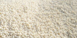 Dofinansowanie do nawozów 2022. Czy będzie zgoda KE?