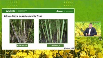 Agrofakt- Konferencja Syngenta 2022