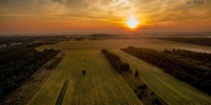 Ekoschematy – dopłaty do poprawki? DIR interweniuje!