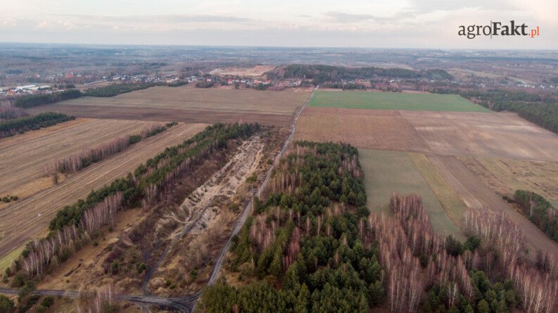 Aktualności rolnicze - Dopłaty do zadrzewień
