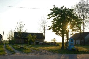 krus świadczenia z&nbsp;tytułu śmierci rodzica