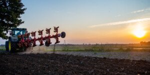 Ceny gruntów rolnych wg GUS coraz wyższe. Dowiedz się więcej!