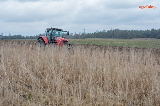 Aktualności rolnicze - Dopłaty za 2021 r.