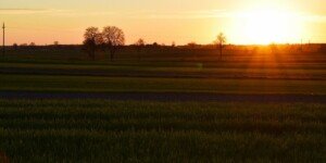 Pieniądze na rolnictwo – niebezpieczna „gra” z&nbsp;KE?