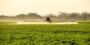 Dlaczego zwalczanie chwastów wiosną ma sens?