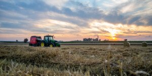 Ceny produktów rolnych – styczeń 2022 r. Co podrożało najbardziej?