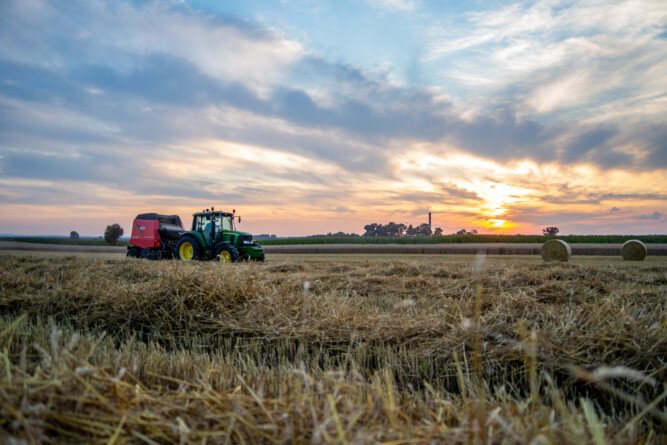 Aktualności rolnicze - Ceny produktów rolnych styczeń 2022