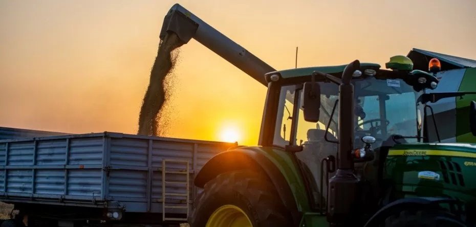 Ceny zbóż marzec 2022 – po ile pszenica, pszenżyto i żyto?