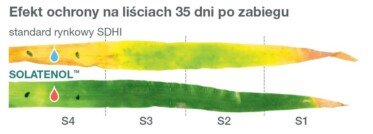 Zabiegi T2