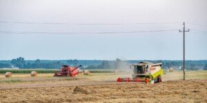 Jakie będą skutki wojny w&nbsp;Ukrainie na rynku żywności UE?